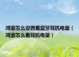 鸿蒙怎么设置看蓝牙耳机电量（鸿蒙怎么看耳机电量）