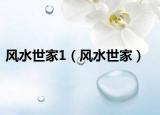 风水世家1（风水世家）