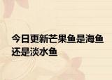 今日更新芒果鱼是海鱼还是淡水鱼