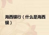 海西银行（什么是海西银）