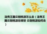 洛克王国云烟桃源怎么去（洛克王国云烟桃源在哪里 云烟桃源如何去）