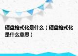 硬盘格式化是什么（硬盘格式化是什么意思）