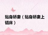贴身娇妻（贴身娇妻上错床）