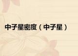 中子星密度（中子星）