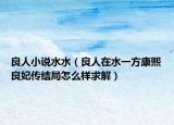 良人小说水水（良人在水一方康熙良妃传结局怎么样求解）