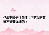 cf圣拳猎手什么样（cf泰坦拳套好不好要详细的）