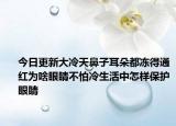 今日更新大冷天鼻子耳朵都冻得通红为啥眼睛不怕冷生活中怎样保护眼睛