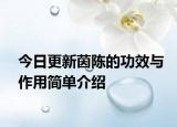 今日更新茵陈的功效与作用简单介绍