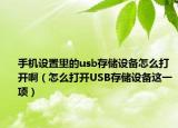 手机设置里的usb存储设备怎么打开啊（怎么打开USB存储设备这一项）