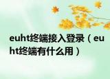 euht终端接入登录（euht终端有什么用）