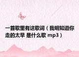 一首歌里有这歌词（我明知道你走的太早 是什么歌 mp3）