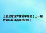 上届足球世界杯冠军是谁（上一届世界杯足球赛谁是冠军）