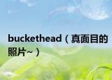 buckethead（真面目的照片~）
