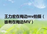 王力宏在梅边mv拍摄（谁有在梅边MV）