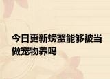 今日更新螃蟹能够被当做宠物养吗