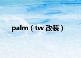 palm（tw 改装）