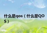 什么是qos（什么是QOS）