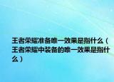 王者荣耀准备唯一效果是指什么（王者荣耀中装备的唯一效果是指什么）