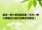 我是一棵小草经典语录（作为一棵小草我压力很大经典语句集锦）