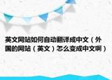 英文网站如何自动翻译成中文（外国的网站（英文）怎么变成中文啊）
