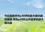 今日更新华为p30手机放大镜功能在哪里 华为p30怎么开启手机放大镜功能