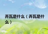 弄瓦是什么（弄瓦是什么）
