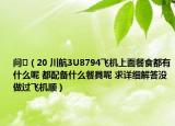 问￼（20 川航3U8794飞机上面餐食都有什么呢 都配备什么餐具呢 求详细解答没做过飞机顺）