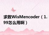 求救WisMencoder（1.99怎么用啊）