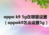 oppo k9 5g在哪里设置（oppok9怎么设置5g）