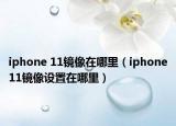 iphone 11镜像在哪里（iphone11镜像设置在哪里）