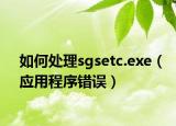 如何处理sgsetc.exe（应用程序错误）