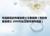 电视剧我的青春谁做主全集视频（我的青春谁做主 2009年赵宝刚导演电视剧）