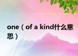 one（of a kind什么意思）