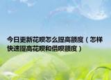 今日更新花呗怎么提高额度（怎样快速提高花呗和借呗额度）