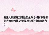 野生大熊猫遇到危险怎么办（村民不想惊动大熊猫苦等1小时如何评价村民的行为）
