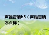 声雅音响h5（声雅音响怎么样）