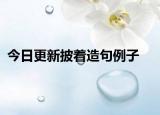 今日更新披着造句例子