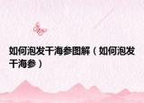 如何泡发干海参图解（如何泡发干海参）