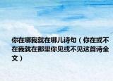 你在哪我就在哪儿诗句（你在或不在我就在那里你见或不见这首诗全文）