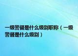 一级警督是什么级别职称（一级警督是什么级别）