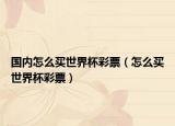 国内怎么买世界杯彩票（怎么买世界杯彩票）