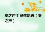 秦之声丁良生唱段（秦之声）