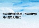 天天酷跑如何搭配（天天酷跑和风小鹿怎么搭配）