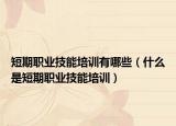 短期职业技能培训有哪些（什么是短期职业技能培训）