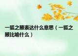 一狐之腋表达什么意思（一狐之腋比喻什么）