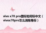 vivo x70 pro图标如何标中文（vivox70pro怎么消除角标）