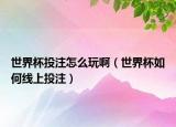 世界杯投注怎么玩啊（世界杯如何线上投注）