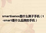 smartisanos是什么牌子手机（t-smart是什么品牌的手机）
