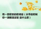 有一首歌里的歌词是（分手的时候 你一滴眼泪没留 是什么歌）