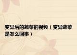 变异后的蔬菜的视频（变异蔬菜是怎么回事）